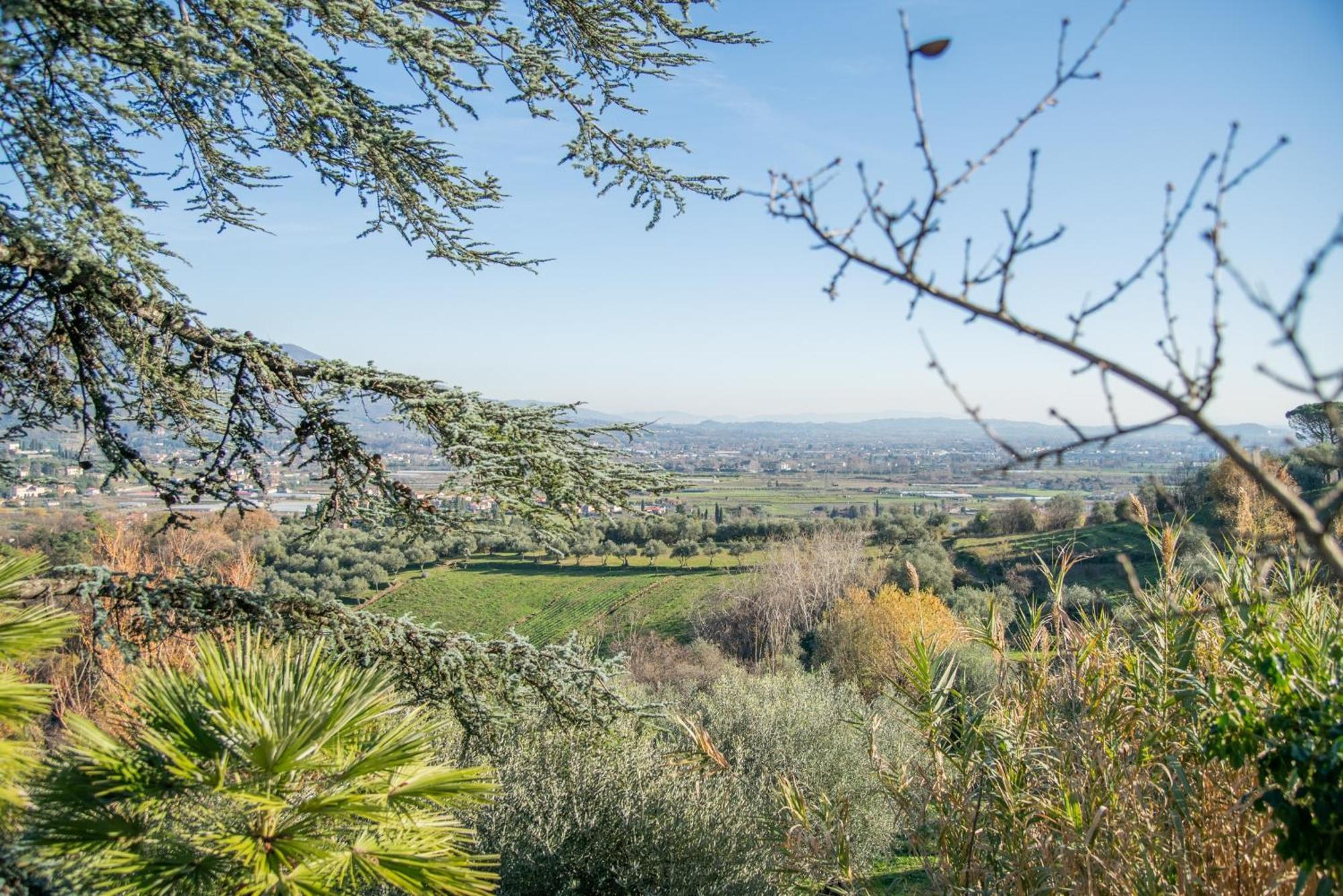 Villa Pedone Lukka Zewnętrze zdjęcie
